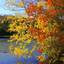 Frank Melville Park, Setauket NY